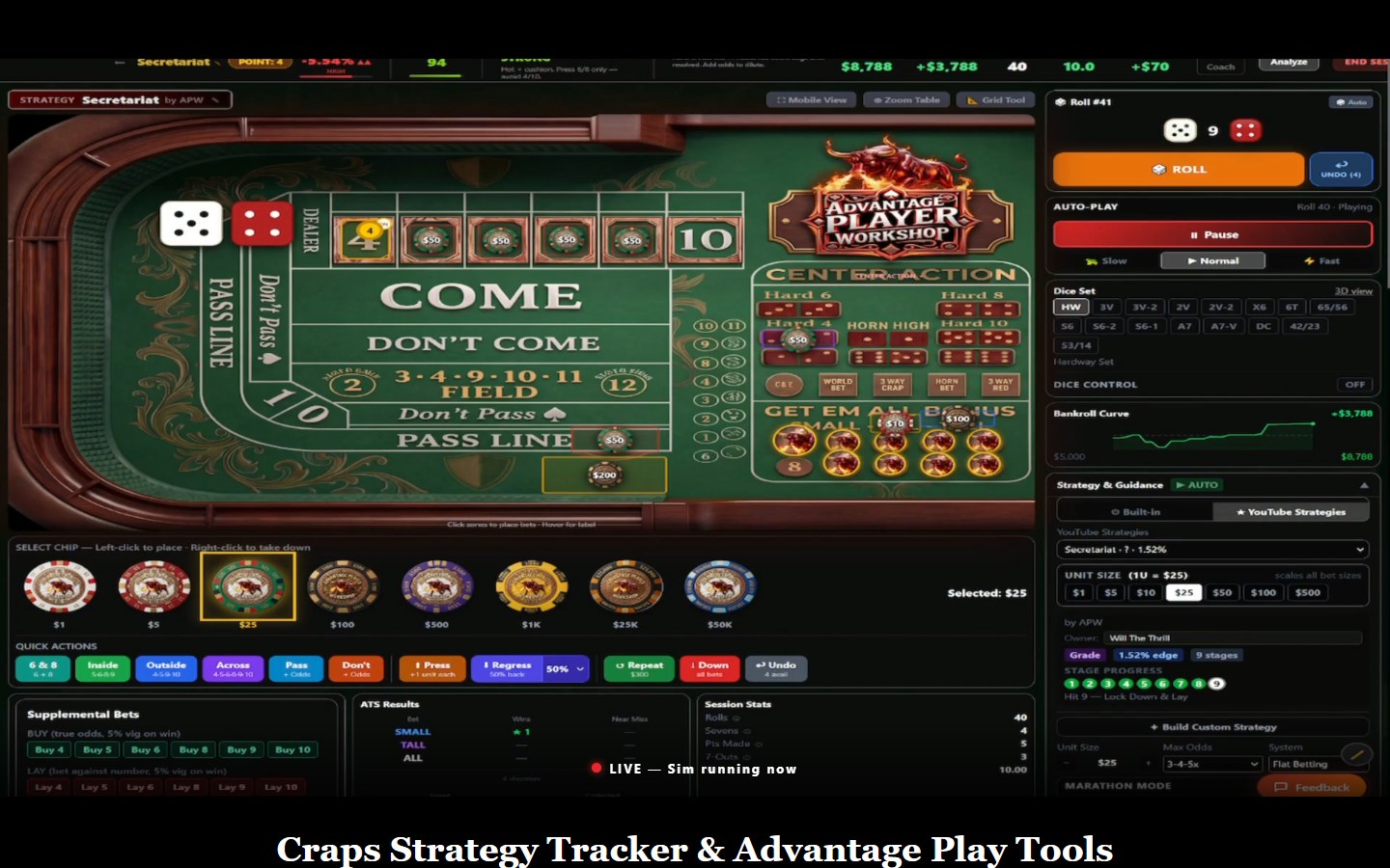 Advantage Player Workshop view 2